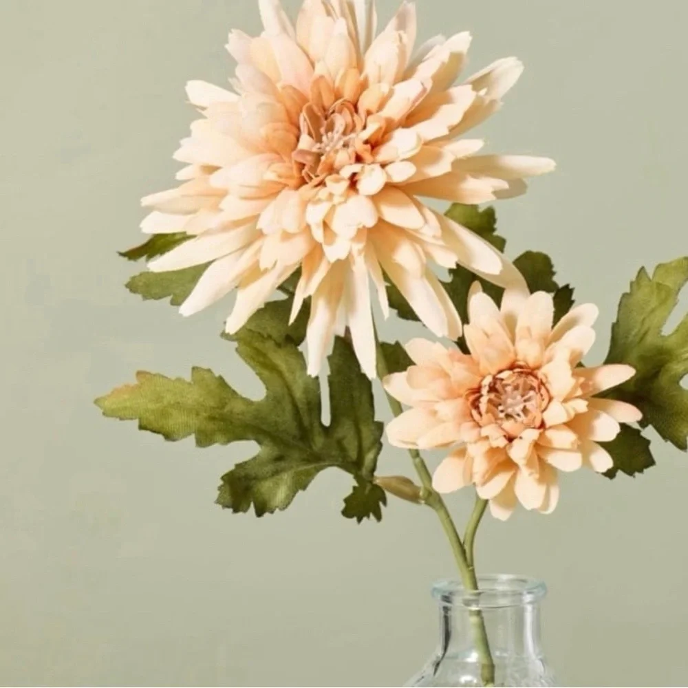 11” Faux Mini Orange Daisy Flower Arrangement - Hearth & Hand with Magnolia